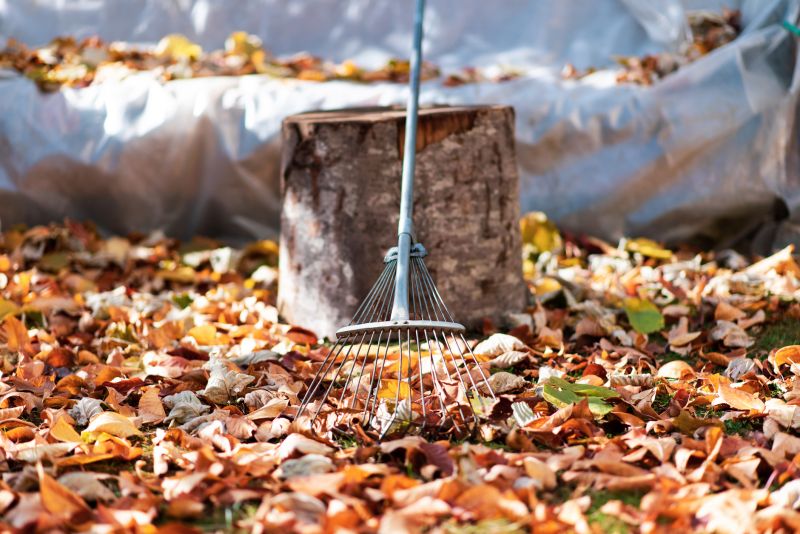 Autumn Leaf Removal in Honolulu, HI