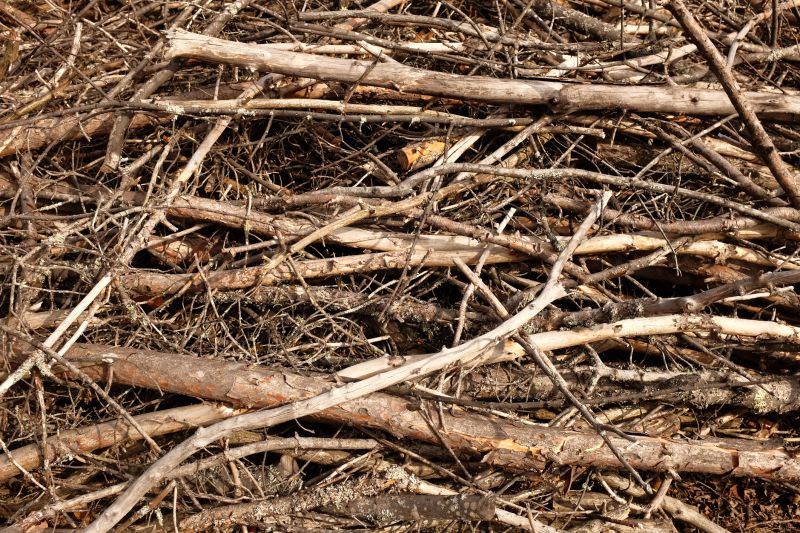 Brush Cleaning Service in Honolulu, HI