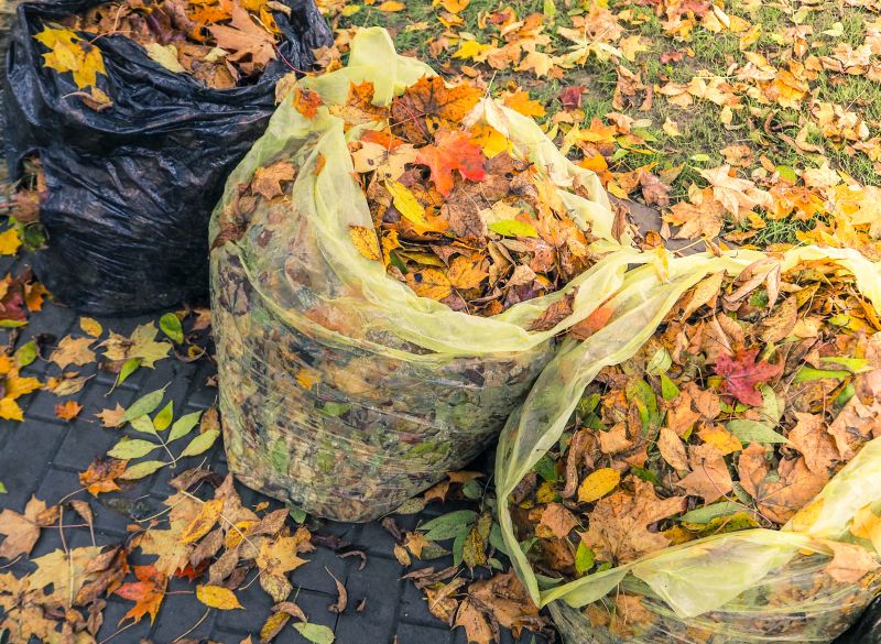 Fall Lawn Cleanup Service in Ventura County, CA