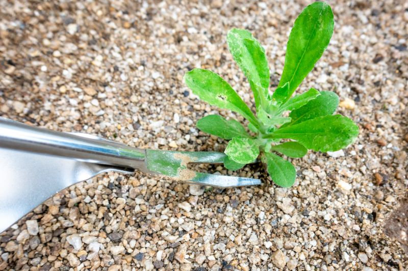 Weeding Tools and Supplies