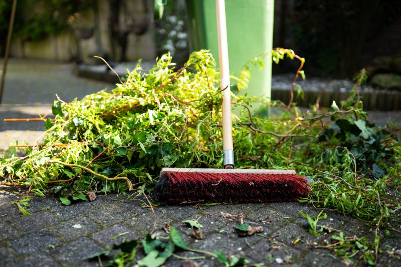 Lawn Cleanup Service in Honolulu, HI