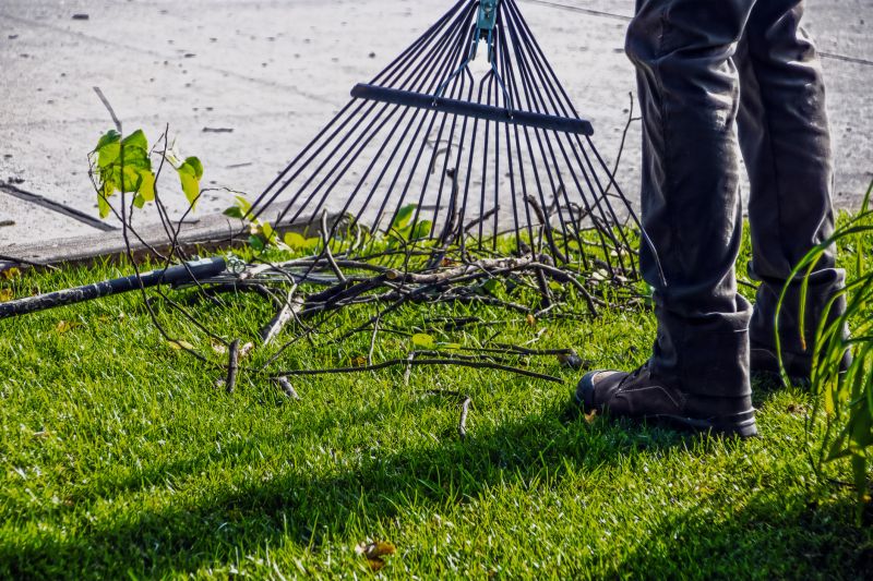 Pine Straw Raking in Ventura County, CA