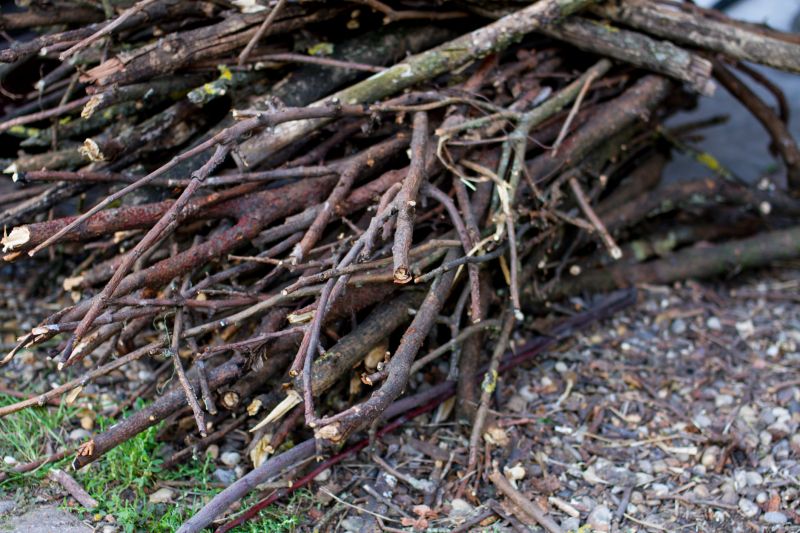 Tree Branches Removal in Ventura County, CA