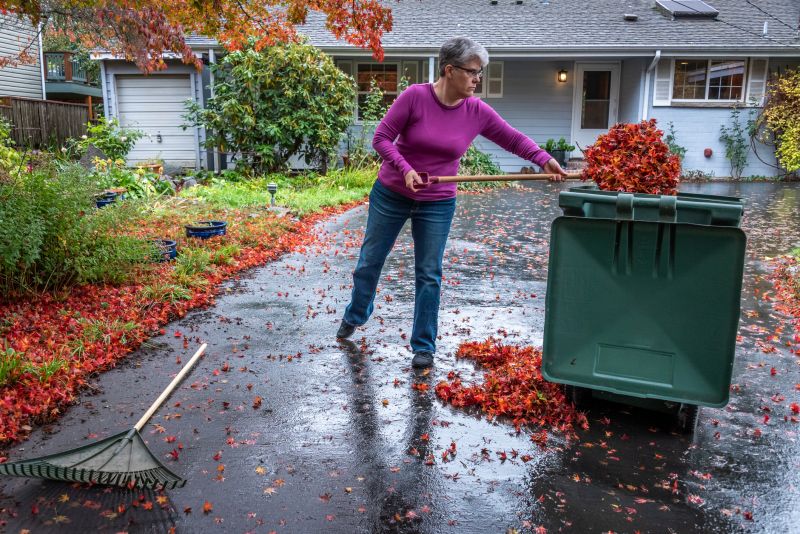 Yard Cleanup Service in Ventura County, CA