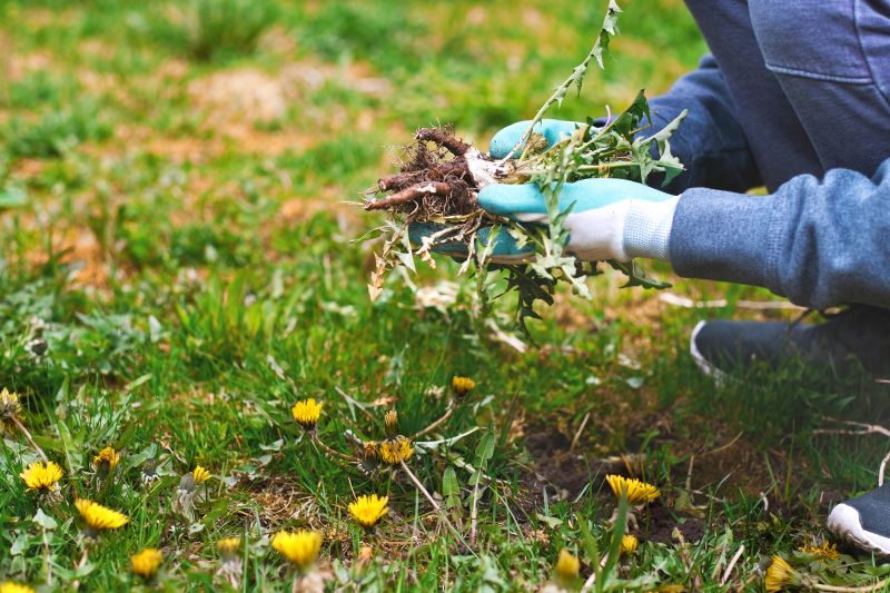 Garden Deweeding Services
