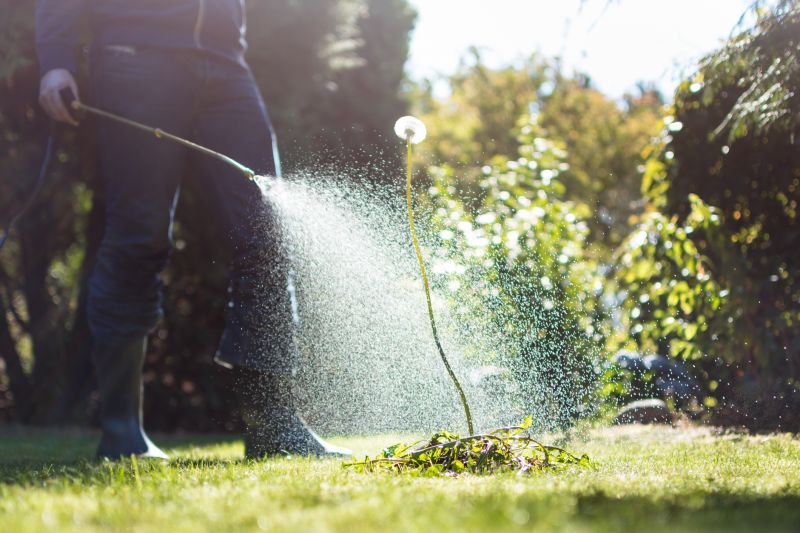 Garden Deweeding Promotions